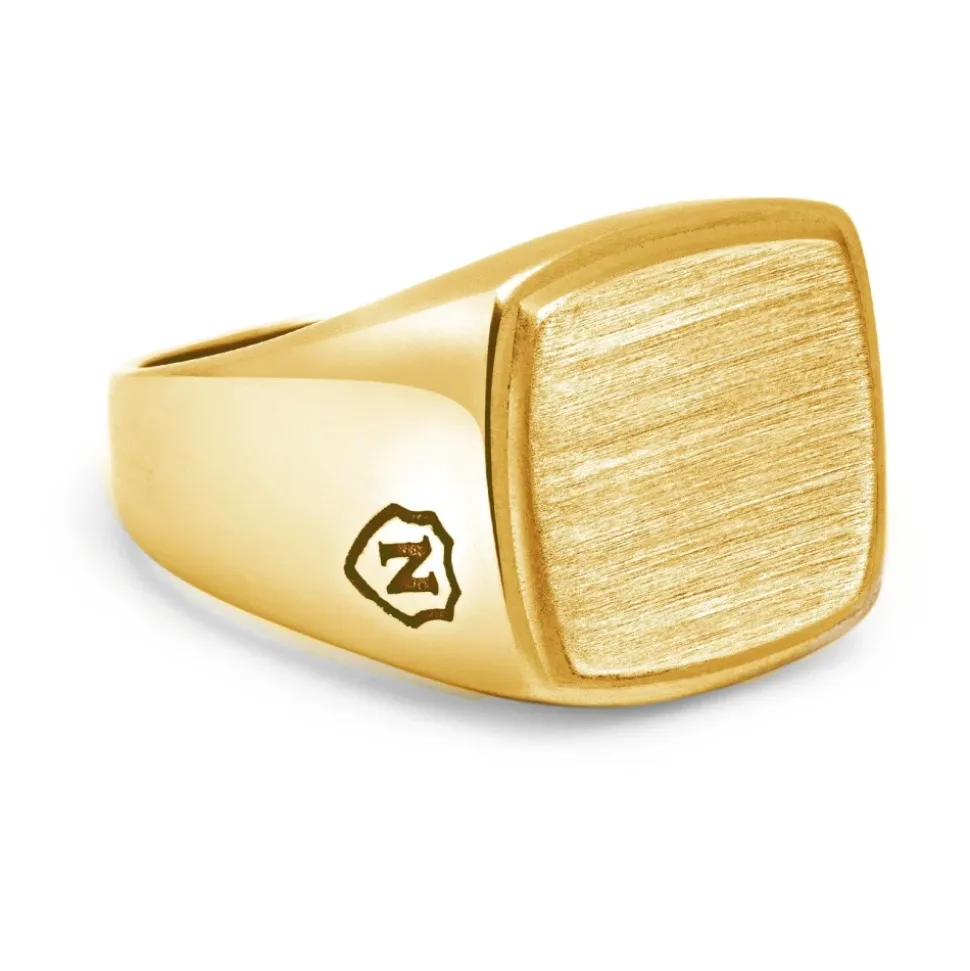 Men's Gold Plated Signet Ring with Brushed Steel