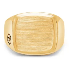 Men's Gold Plated Signet Ring with Brushed Steel