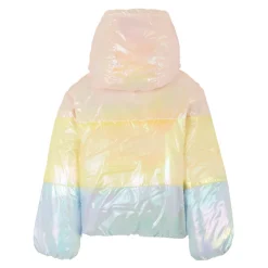 Metallic Steppdaunenjacke mit Kapuze