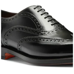 Poliertes Oxford Brogue-Lederschuh