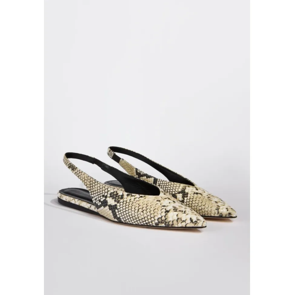 Python Effect Ballerina