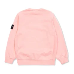 Sweatshirt mit Logo-Patch