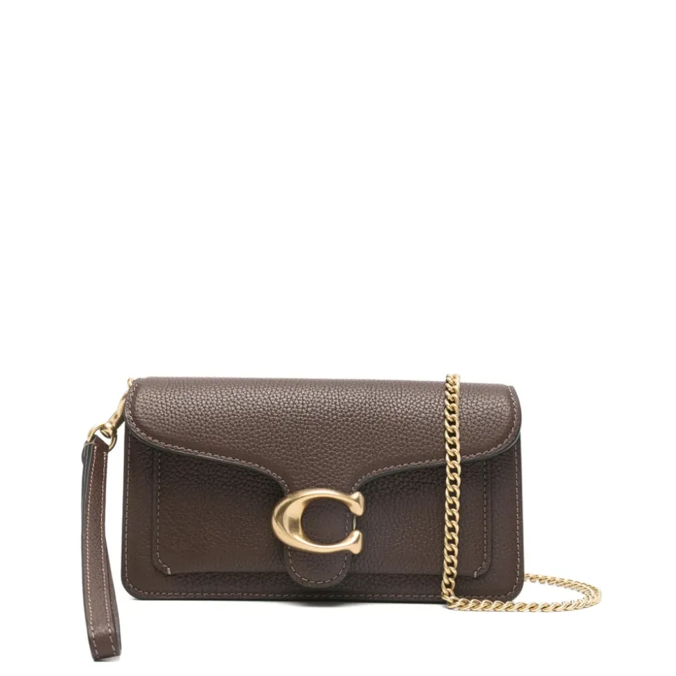 Tabby Chain Crossbody Bag 19