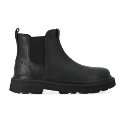 Tasman Reflective