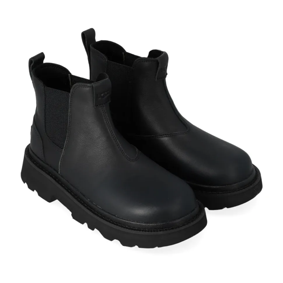 Tasman Reflective